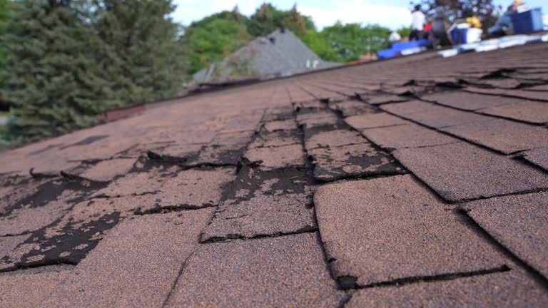 Best Rubber Roofing (EPDM, TPO)  in Pleasant Grove, AL